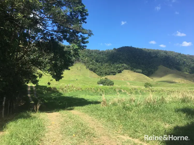 Fifth view of Homely land listing, LOT 1 Stewart Creek Road (Stewart Creek Valley), Lower Daintree QLD 4873