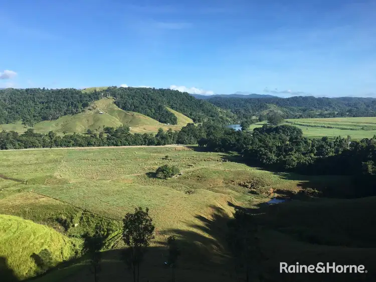 Sixth view of Homely land listing, LOT 1 Stewart Creek Road (Stewart Creek Valley), Lower Daintree QLD 4873