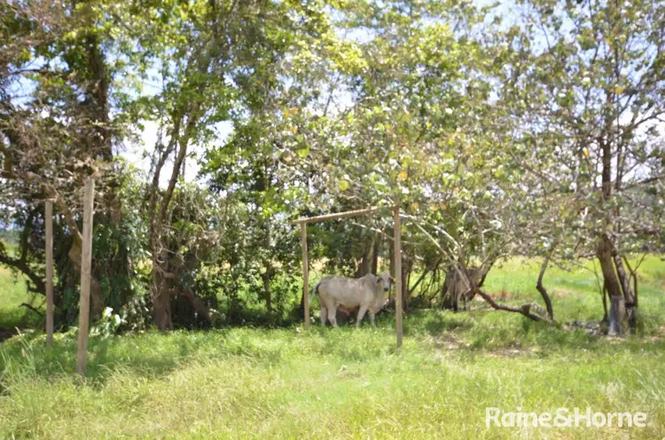 Seventh view of Homely land listing, LOT 1 Stewart Creek Road (Stewart Creek Valley), Lower Daintree QLD 4873