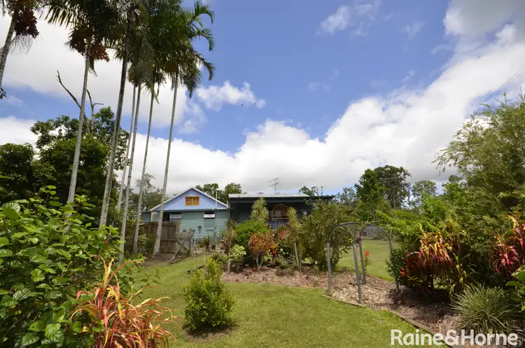 Third view of Homely house listing, 1134 Euluma Creek Road, Julatten QLD 4871