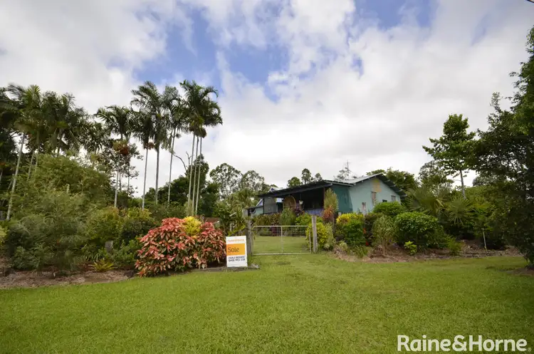 Sixth view of Homely house listing, 1134 Euluma Creek Road, Julatten QLD 4871