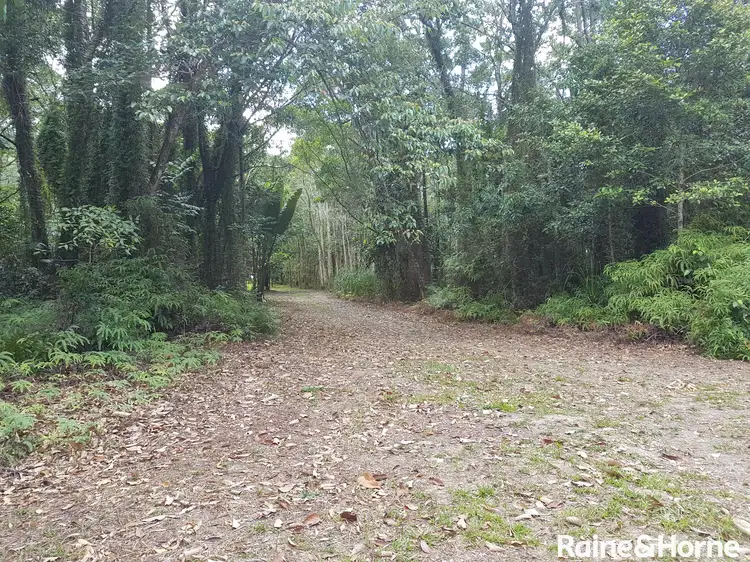 Third view of Homely house listing, 65 Thornton Peak Drive, Daintree QLD 4873