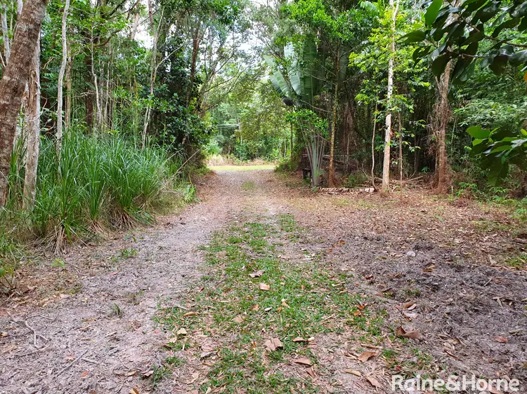 Fourth view of Homely house listing, 65 Thornton Peak Drive, Daintree QLD 4873