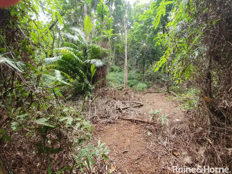Sixth view of Homely land listing, 26 Ronald Road, Daintree QLD 4873
