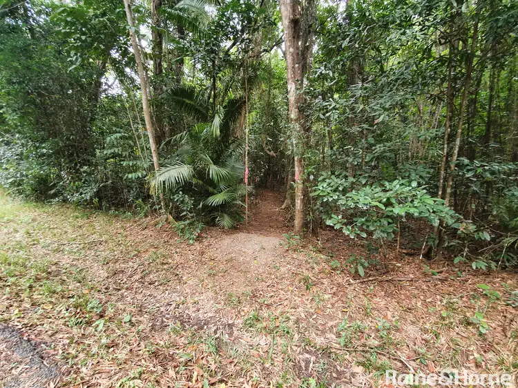 Seventh view of Homely land listing, 26 Ronald Road, Daintree QLD 4873