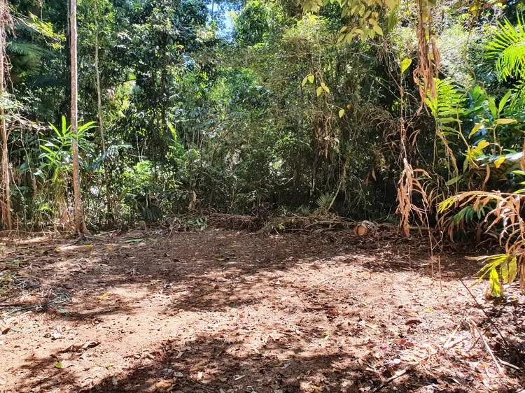 Fifth view of Homely land listing, Lot 43 Cape Tribulation Road, DIWAN, Daintree QLD 4873