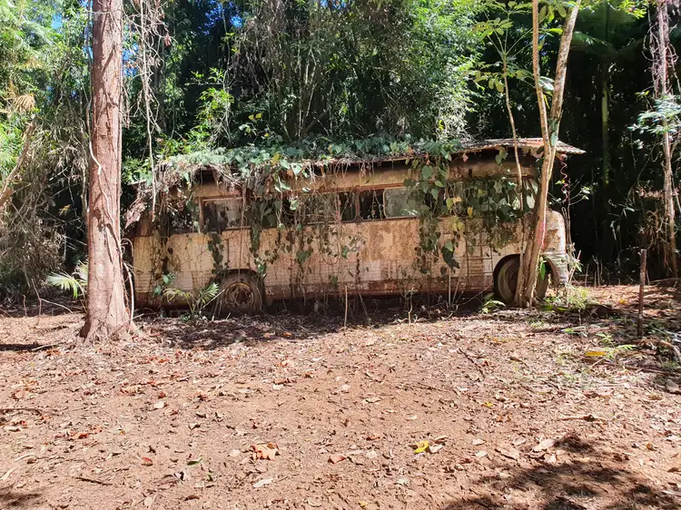 Sixth view of Homely land listing, Lot 43 Cape Tribulation Road, DIWAN, Daintree QLD 4873