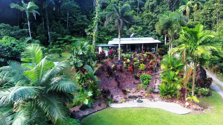 Second view of Homely house listing, 21 Zena Close, CAPE TRIBULATION, Daintree QLD 4873