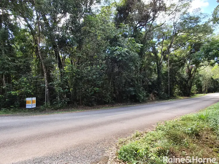 Fourth view of Homely land listing, 167 Buchanan Creek Road, Cow Bay, Daintree QLD 4873