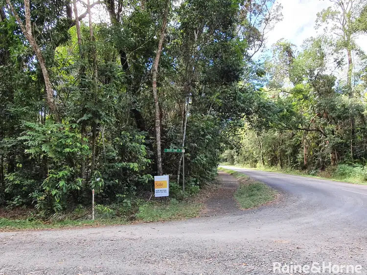 Fifth view of Homely land listing, 167 Buchanan Creek Road, Cow Bay, Daintree QLD 4873