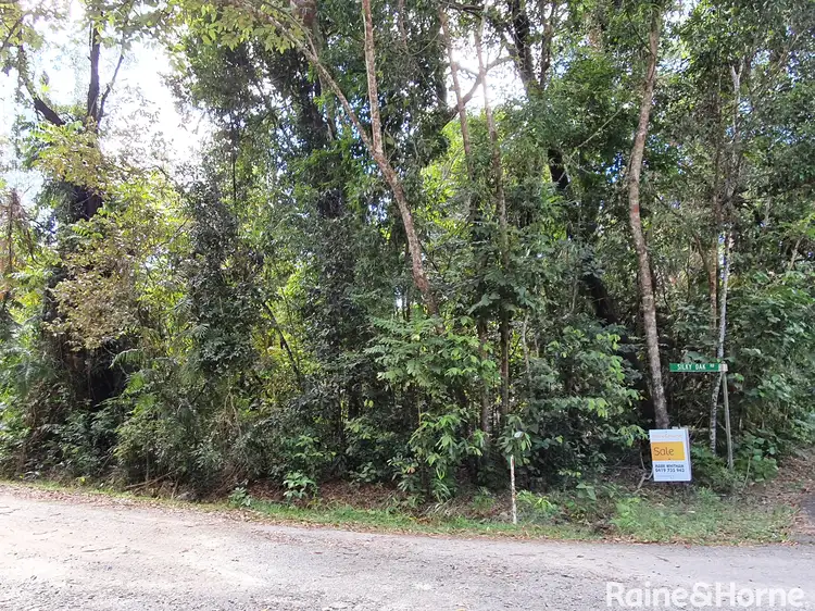 Sixth view of Homely land listing, 167 Buchanan Creek Road, Cow Bay, Daintree QLD 4873
