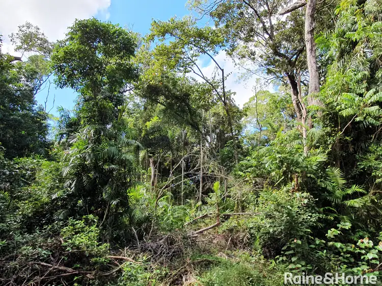 Seventh view of Homely land listing, 167 Buchanan Creek Road, Cow Bay, Daintree QLD 4873