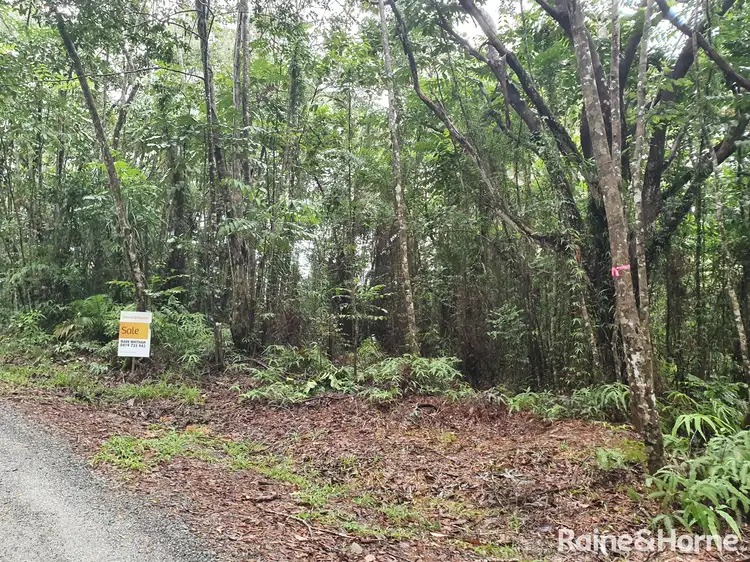 Third view of Homely land listing, 54 George Road, FOREST CREEK, Daintree QLD 4873