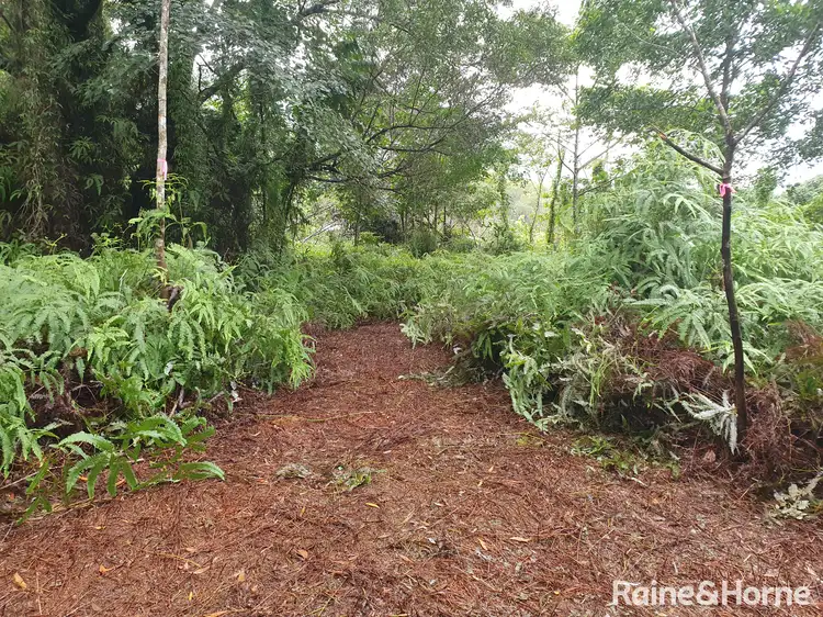 Fourth view of Homely land listing, 54 George Road, FOREST CREEK, Daintree QLD 4873