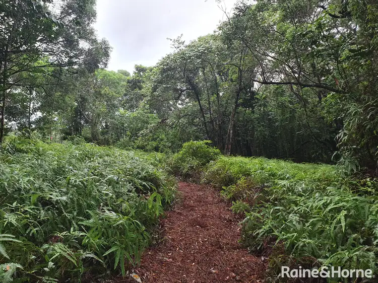 Fifth view of Homely land listing, 54 George Road, FOREST CREEK, Daintree QLD 4873