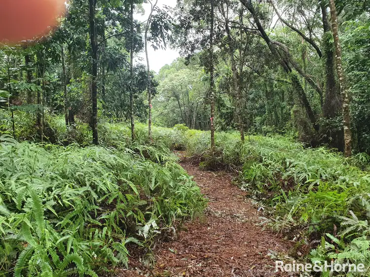Sixth view of Homely land listing, 54 George Road, FOREST CREEK, Daintree QLD 4873