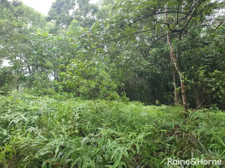 Seventh view of Homely land listing, 54 George Road, FOREST CREEK, Daintree QLD 4873
