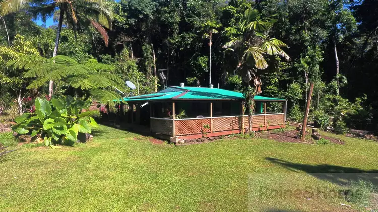 Second view of Homely house listing, 81 Maple Road Cow Bay, Daintree QLD 4873