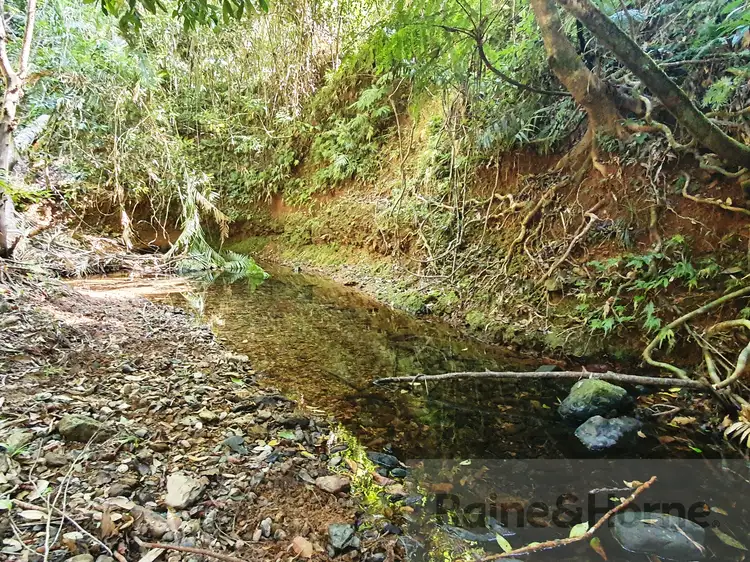 Fourth view of Homely house listing, 81 Maple Road Cow Bay, Daintree QLD 4873