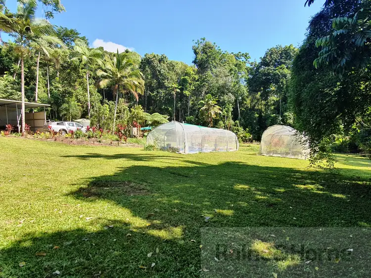 Sixth view of Homely house listing, 81 Maple Road Cow Bay, Daintree QLD 4873