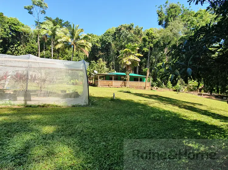 Seventh view of Homely house listing, 81 Maple Road Cow Bay, Daintree QLD 4873