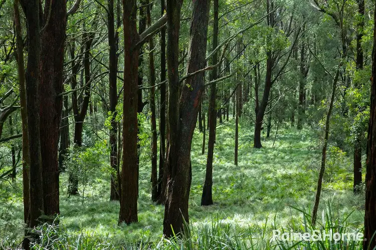 Fourth view of Homely house listing, 1781 Tourist Road, Robertson NSW 2577