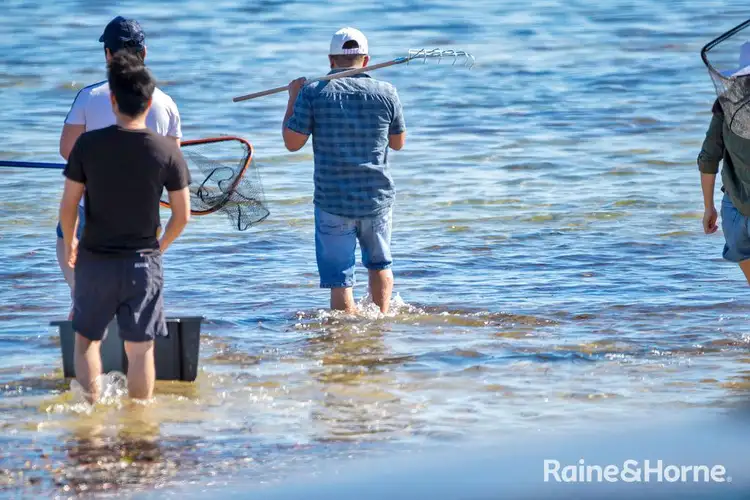 Sixth view of Homely land listing, 11 The Esplanade, Thompson Beach SA 5501