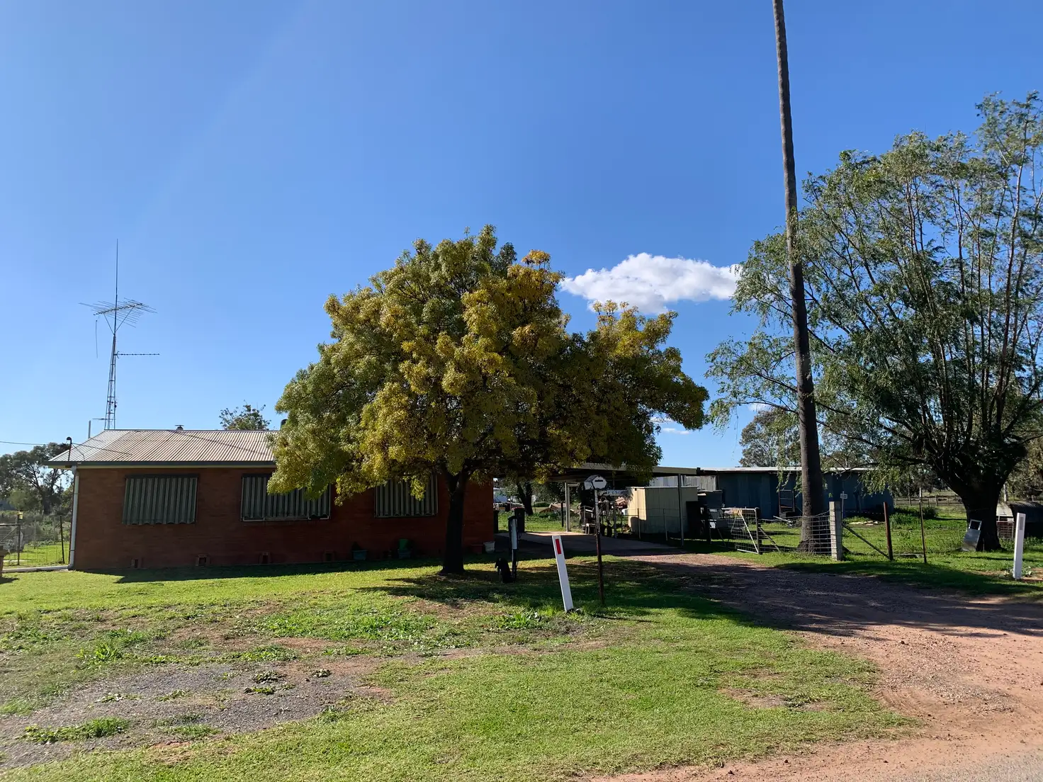 Main view of Homely house listing, 12 Gidgell Street, Yanco NSW 2703