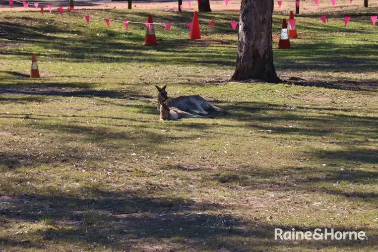 Second view of Homely land listing, 24 Boondooma Dam Lookout Road, Okeden QLD 4613
