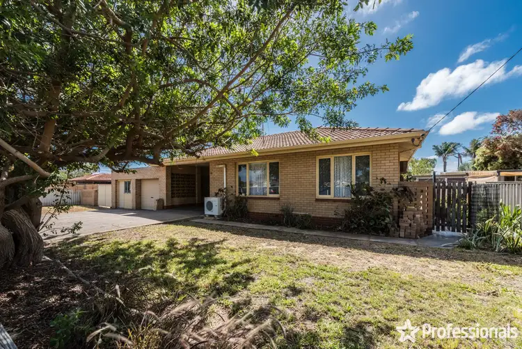 Main view of Homely house listing, 117 Mitchell Street, Spalding WA 6530