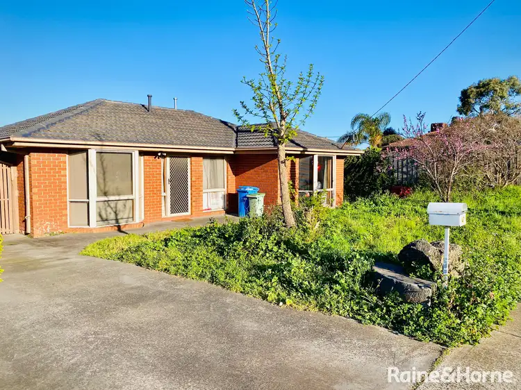 47 Michelle Drive