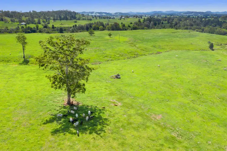 Fifth view of Homely land listing, LOT 9, 1023 Kenilworth Skyring Creek Road, Carters Ridge QLD 4563