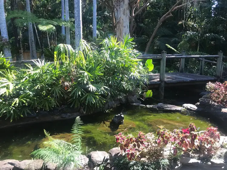Second view of Homely unit listing, 3/14 Andrews Close, Port Douglas QLD 4877