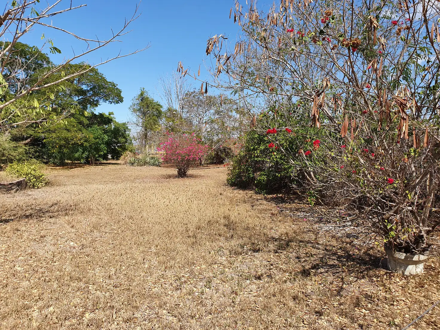Main view of Homely land listing, 1 Wallace Road, Inkerman QLD 4806