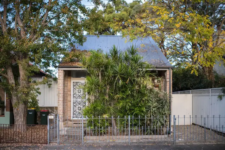 6 Margaret Street, Ashfield NSW 2131