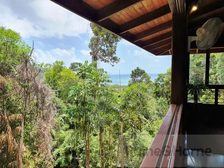 Fifth view of Homely house listing, 23 Kauri Close, COW BAY, Daintree QLD 4873