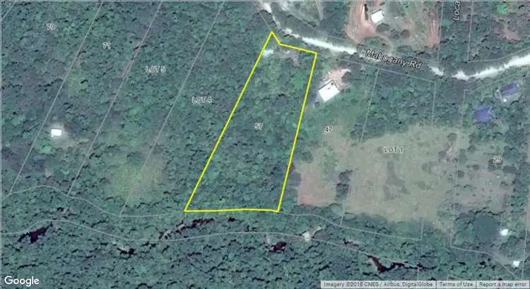 Fifth view of Homely rural property listing, 57 Mahogany Road, Daintree QLD 4873