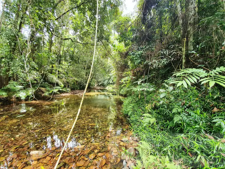 Seventh view of Homely rural property listing, 57 Mahogany Road, Daintree QLD 4873