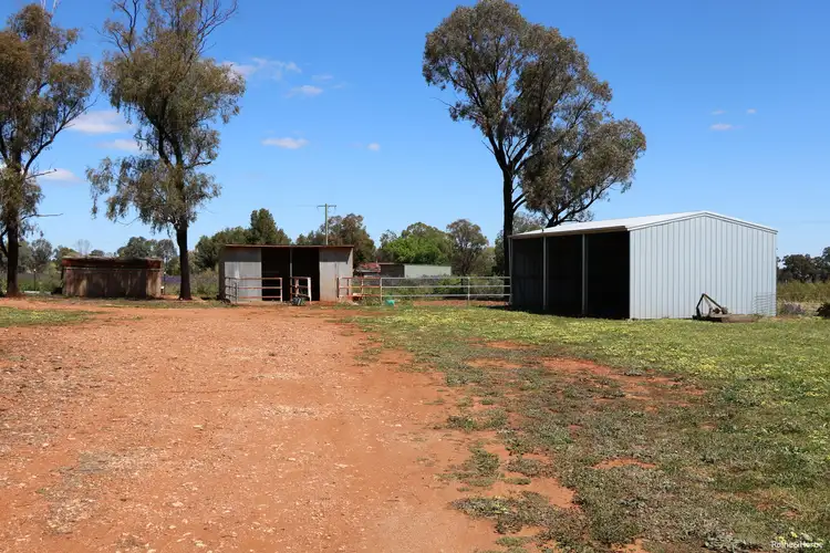 Seventh view of Homely house listing, 209 Back Trundle Road, Parkes NSW 2870