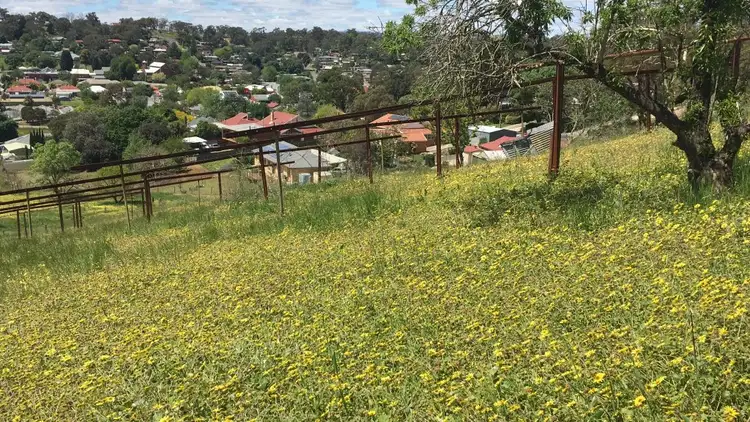 Sixth view of Homely land listing, LOT 1 Post Office Road, Lobethal SA 5241