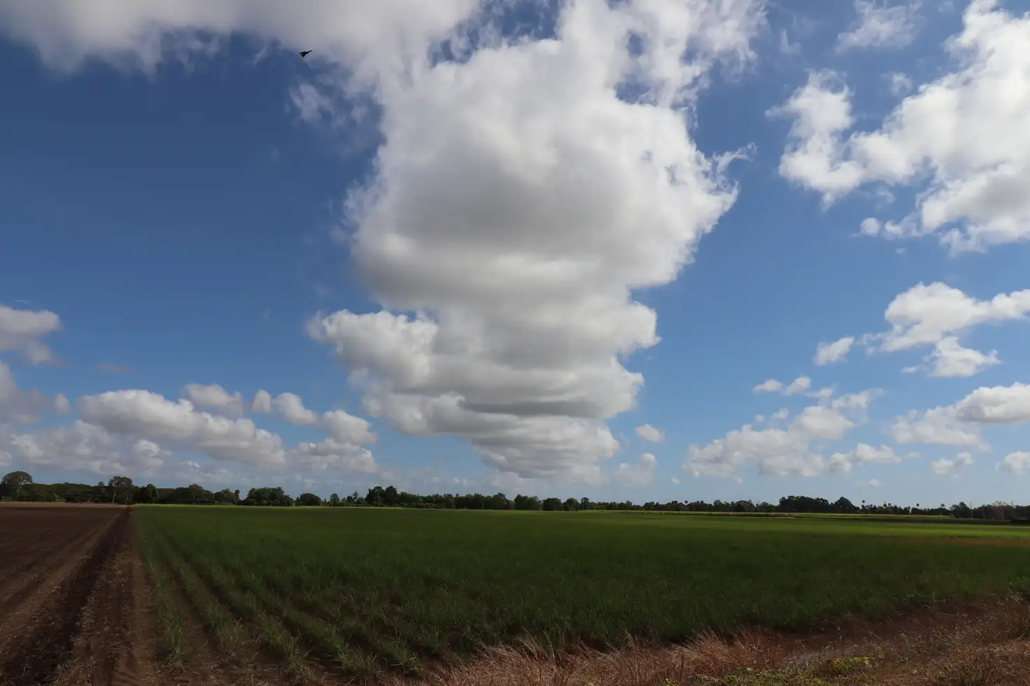 Main view of Homely land listing, 57D Old Clare Road, Ayr QLD 4807