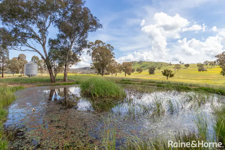 Fifth view of Homely house listing, 638 Rivulet Road, Duramana NSW 2795
