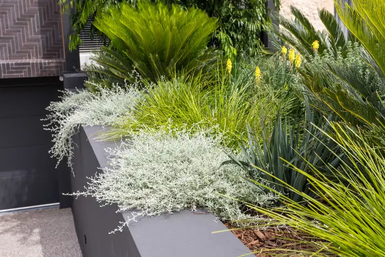 Third view of Homely house listing, 37B Waroonga Road, Nedlands WA 6009