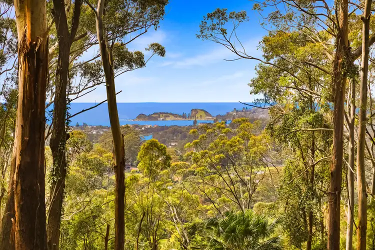162 Matcham Road, Matcham NSW 2250