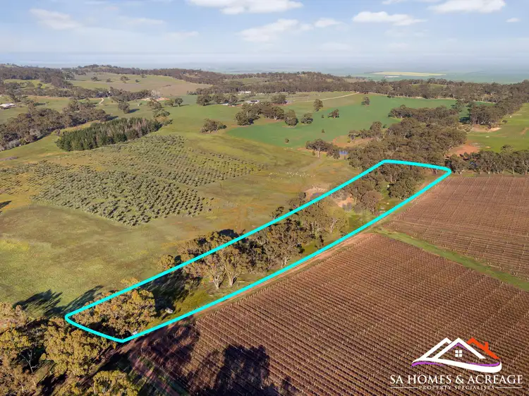 Main view of Homely land listing, 225 Scobie Road, Emu Flat SA 5453