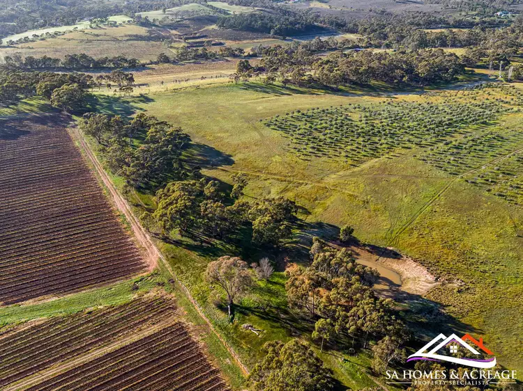 Fifth view of Homely land listing, 225 Scobie Road, Emu Flat SA 5453