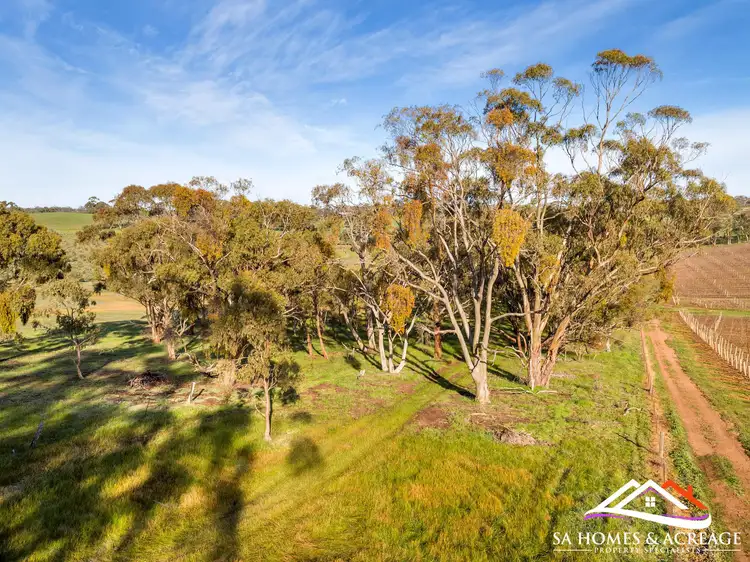 Seventh view of Homely land listing, 225 Scobie Road, Emu Flat SA 5453