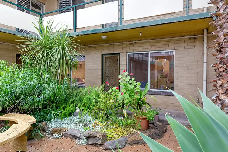 1/127 Anzac Highway, Kurralta Park SA 5037