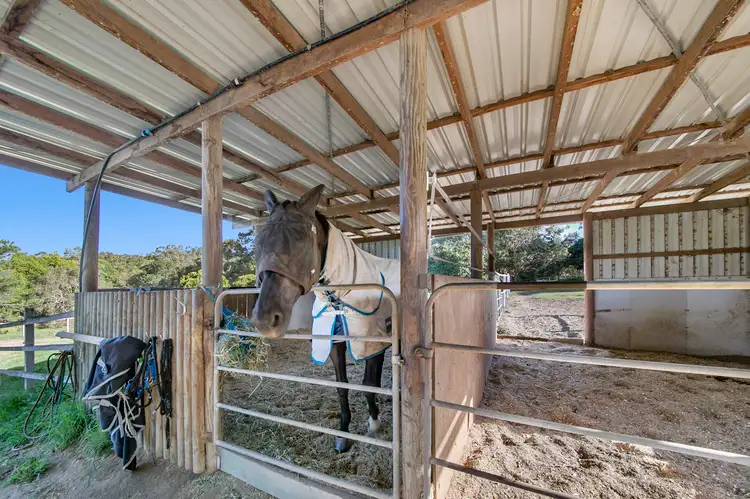 Third view of Homely house listing, 62 Taylor Road, Thornlands QLD 4164