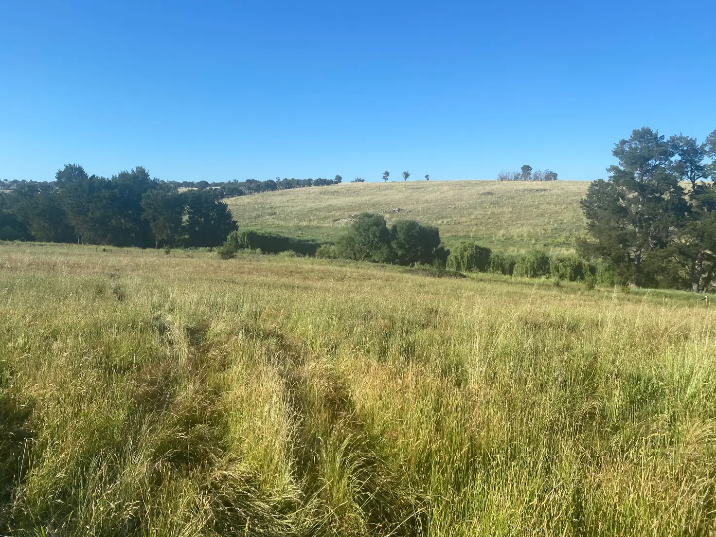 Main view of Homely land listing, 642 Woolbrook Road, Woolbrook NSW 2354